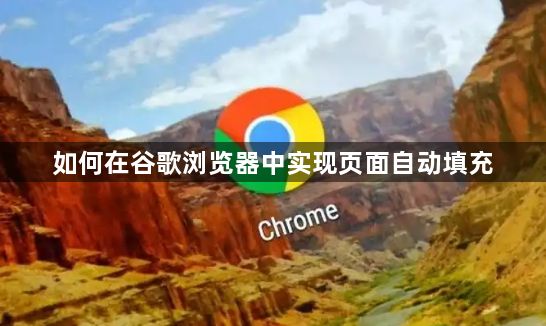 谷歌浏览器实现页面自动填充的方法1