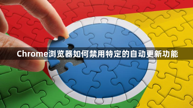 Chrome浏览器如何禁用特定的自动更新功能1