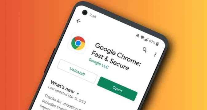 Google Chrome下载包缓存优化与性能提升1