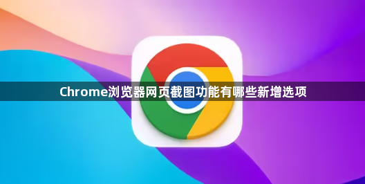 Chrome浏览器网页截图功能有哪些新增选项1