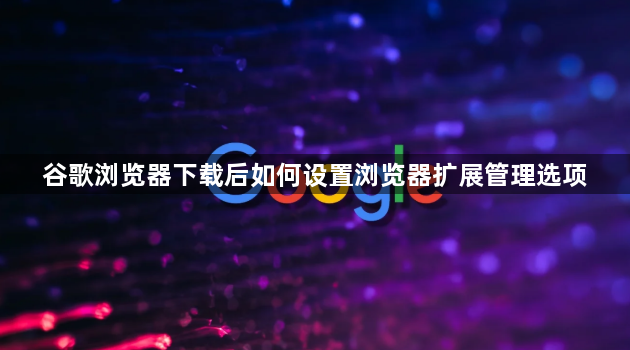 谷歌浏览器下载后如何设置浏览器扩展管理选项1