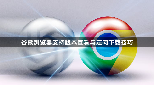 谷歌浏览器支持版本查看与定向下载技巧1