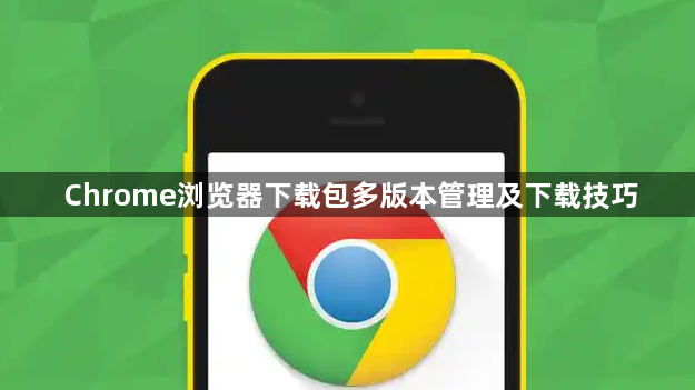 Chrome浏览器下载包多版本管理及下载技巧1