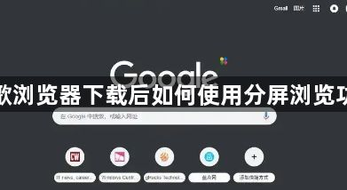 谷歌浏览器下载后如何使用分屏浏览功能1