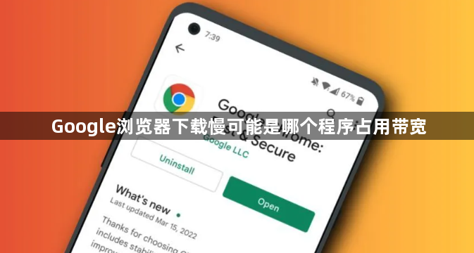 Google浏览器下载慢可能是哪个程序占用带宽1