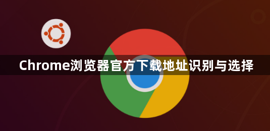 Chrome浏览器官方下载地址识别与选择1