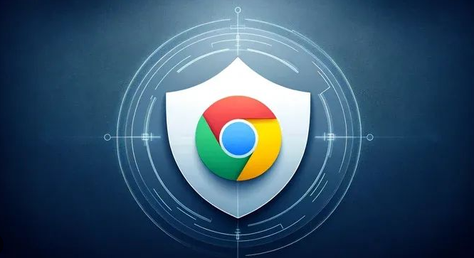 Google Chrome浏览器隐私保护插件详解1