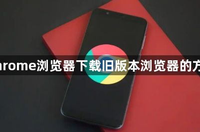 Chrome浏览器下载旧版本浏览器的方法1