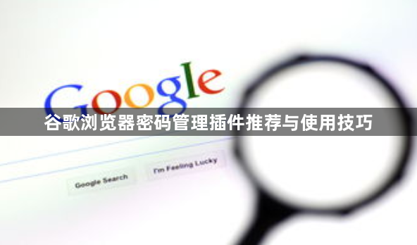 谷歌浏览器密码管理插件推荐与使用技巧1