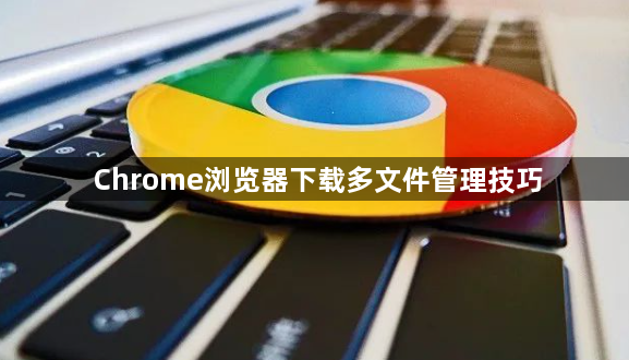 Chrome浏览器下载多文件管理技巧1