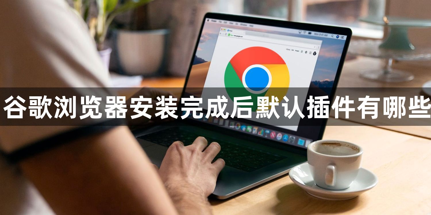 谷歌浏览器安装完成后默认插件有哪些1
