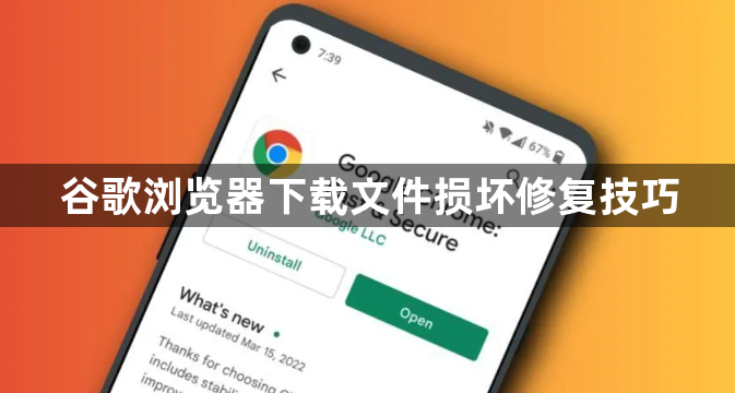 谷歌浏览器下载文件损坏修复技巧1