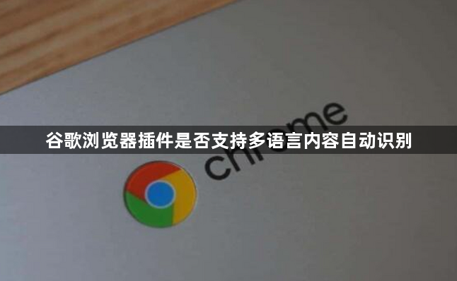 谷歌浏览器插件是否支持多语言内容自动识别1