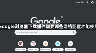 Google浏览器下载插件需要哪些网络配置才能使用1