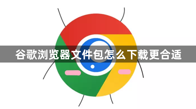 谷歌浏览器文件包怎么下载更合适1