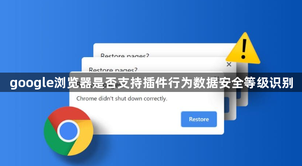 google浏览器是否支持插件行为数据安全等级识别1