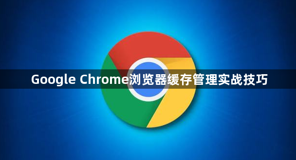 Google Chrome浏览器缓存管理实战技巧1