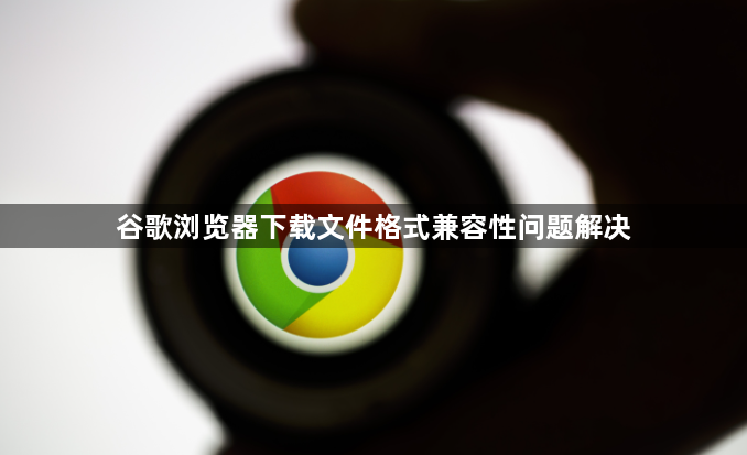 谷歌浏览器下载文件格式兼容性问题解决1