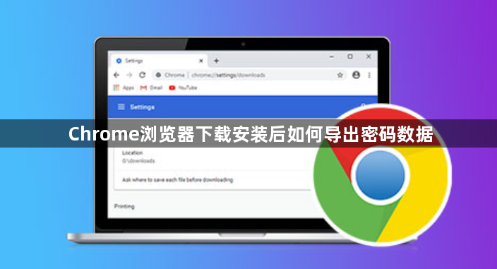 Chrome浏览器下载安装后如何导出密码数据1