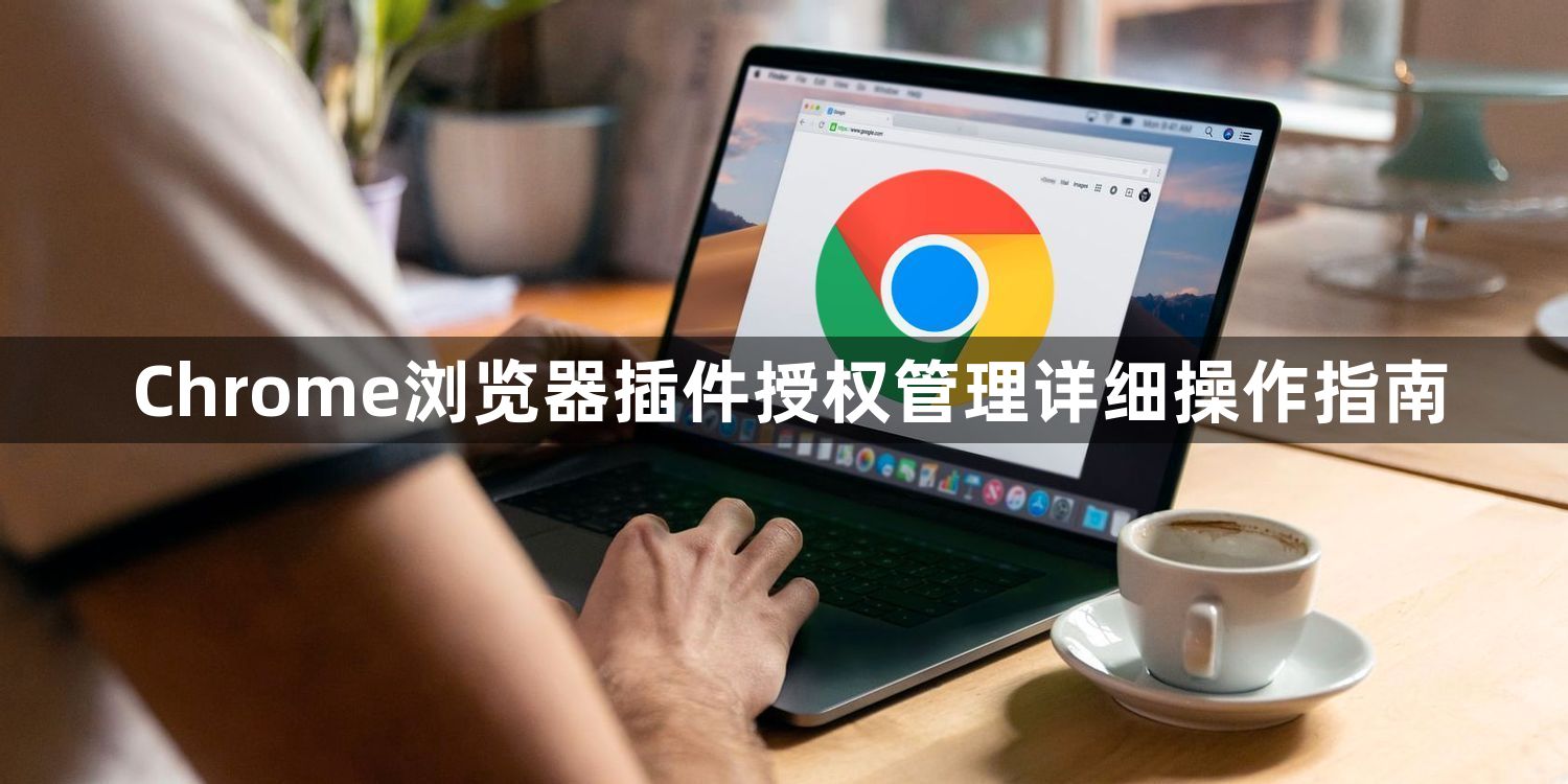 Chrome浏览器插件授权管理详细操作指南1