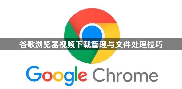 谷歌浏览器视频下载管理与文件处理技巧1