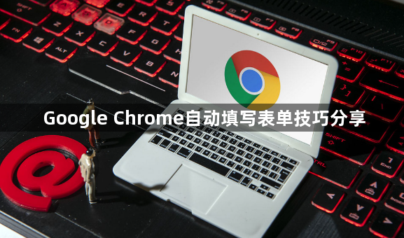 Google Chrome自动填写表单技巧分享1