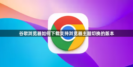谷歌浏览器如何下载支持浏览器主题切换的版本1