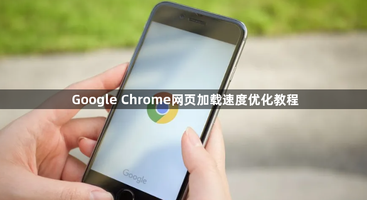 Google Chrome网页加载速度优化教程1