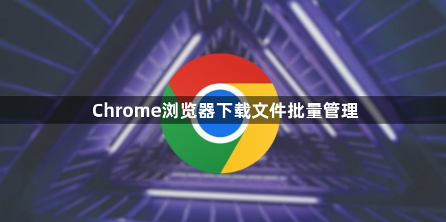 Chrome浏览器下载文件批量管理1