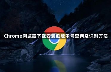 Chrome浏览器下载安装包版本号查询及识别方法1
