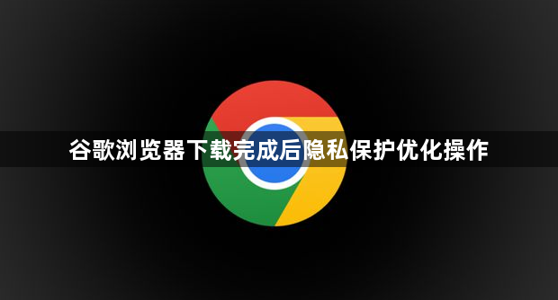 谷歌浏览器下载完成后隐私保护优化操作1