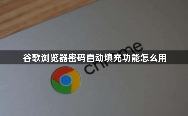谷歌浏览器密码自动填充功能怎么用1