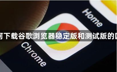 如何下载谷歌浏览器稳定版和测试版的区别1