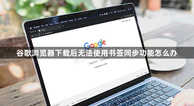 谷歌浏览器下载后无法使用书签同步功能怎么办1