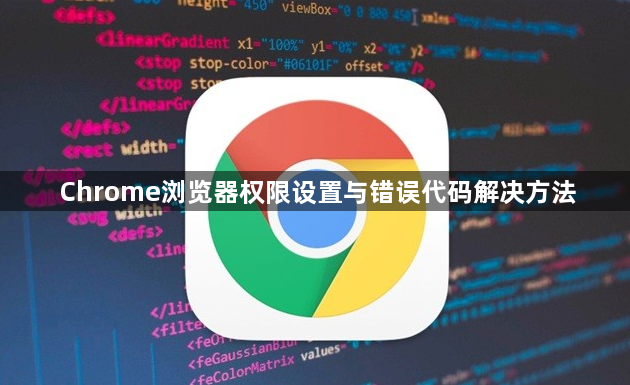 Chrome浏览器权限设置与错误代码解决方法1