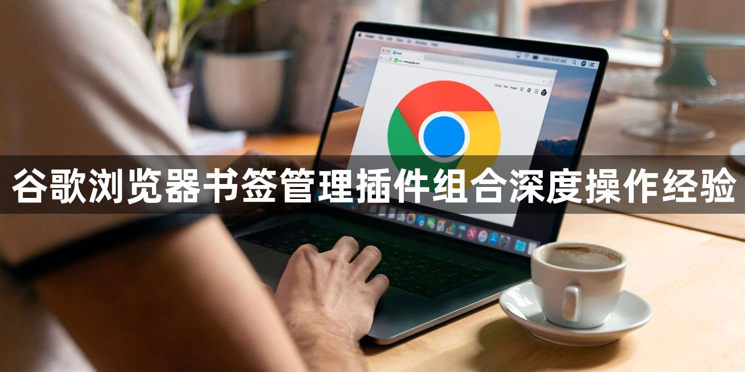 谷歌浏览器书签管理插件组合深度操作经验1