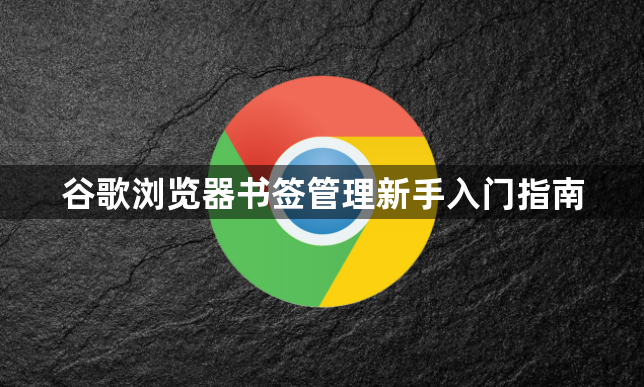 谷歌浏览器书签管理新手入门指南1