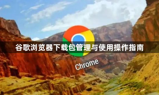 谷歌浏览器下载包管理与使用操作指南1