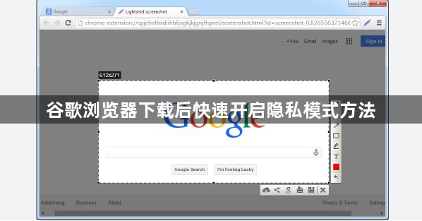 谷歌浏览器下载后快速开启隐私模式方法1