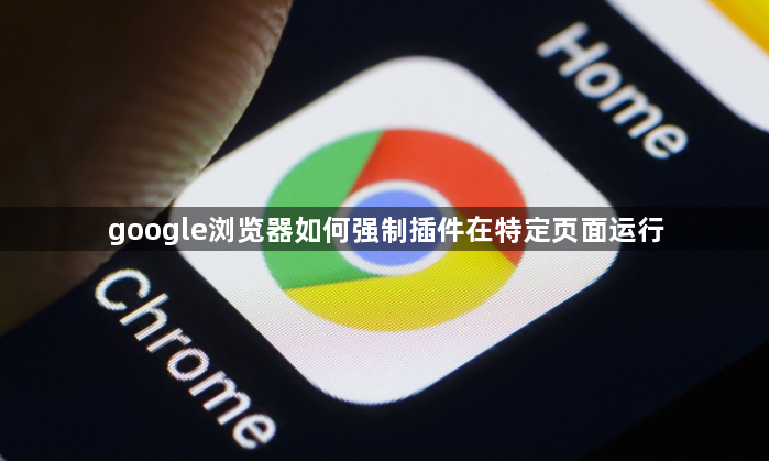 google浏览器如何强制插件在特定页面运行1