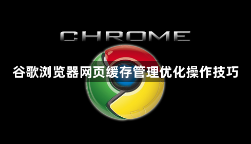 谷歌浏览器网页缓存管理优化操作技巧1