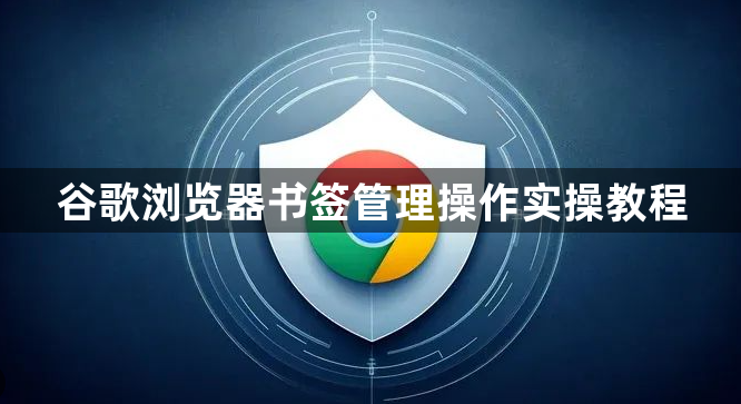 谷歌浏览器书签管理操作实操教程1