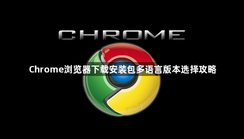 Chrome浏览器下载安装包多语言版本选择攻略1
