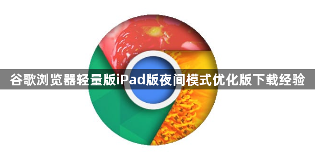 谷歌浏览器轻量版iPad版夜间模式优化版下载经验1