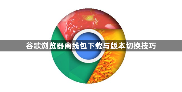 谷歌浏览器离线包下载与版本切换技巧1